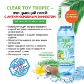 Очищающий спрей для игрушек CLEAR TOY Tropic - 100 мл. - Биоритм - купить с доставкой в Ижевске