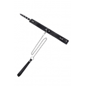 Кожаный двухслойный ошейник с белой строчкой и поводком - Pecado - купить с доставкой в Ижевске