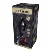 Серебристая анальная втулка Mini Metal Butt Plug Size M с красным кристаллом - Adrien Lastic в Ижевске Серебристая анальная втулка Mini Metal Butt Plug Size M с красным кристаллом - Adrien Lastic