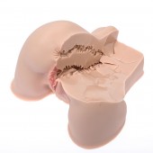 Мастурбатор-полуторс Naked Factory Kate - Naked Factory - в Ижевске купить с доставкой