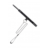 Черный узкий однослойный ошейник с серебристым поводком-цепочкой - Pecado - купить с доставкой в Ижевске