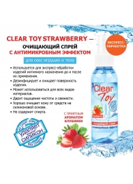 Очищающий спрей для игрушек CLEAR TOY Strawberry - 100 мл. - Биоритм - купить с доставкой в Ижевске