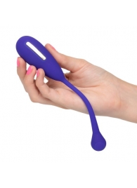 Фиолетовый шарик с электростимуляцией и вибрацией Intimate E-Stimulator Remote Kegel Exerciser - California Exotic Novelties - купить с доставкой в Ижевске