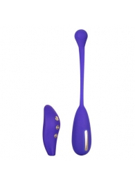 Фиолетовый шарик с электростимуляцией и вибрацией Intimate E-Stimulator Remote Kegel Exerciser - California Exotic Novelties - купить с доставкой в Ижевске