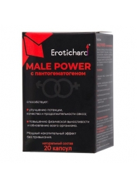 Капсулы для мужчин Erotichard male power с пантогематогеном - 20 капсул (0,370 гр.) - Erotic Hard - купить с доставкой в Ижевске