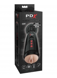 Мастурбатор-вагина с вибрацией Dirty Talk Starter Stroker - Pipedream - в Ижевске купить с доставкой
