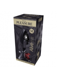 Серебристая анальная втулка Mini Metal Butt Plug Size M с красным кристаллом - Adrien Lastic в Ижевске Серебристая анальная втулка Mini Metal Butt Plug Size M с красным кристаллом - Adrien Lastic