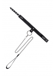 Черный узкий однослойный ошейник с серебристым поводком-цепочкой - Pecado - купить с доставкой в Ижевске