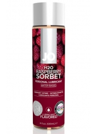 Лубрикант на водной основе с ароматом малины JO Flavored Raspberry Sorbet - 120 мл. - System JO - купить с доставкой в Ижевске