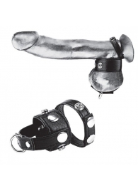 Утяжка для мошонки и пениса Cock Ring With 1  Ball Stretcher And Optional Weight Ring - BlueLine - купить с доставкой в Ижевске