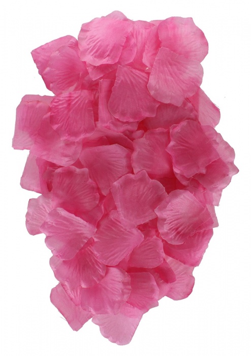 Эротический набор FANTASTIC PURPLE SEX TOY KIT - Toy Joy - купить с доставкой в Ижевске