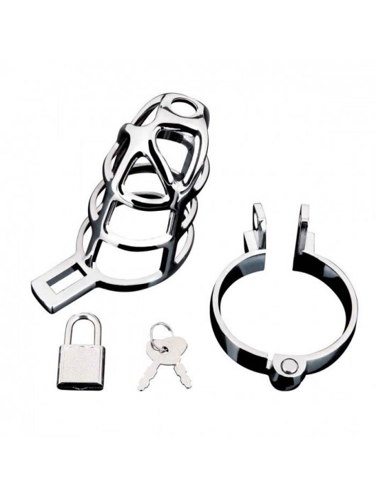 Серебристая металлическая клетка для члена с замком Enslave Cock Cage - BlueLine - купить с доставкой в Ижевске