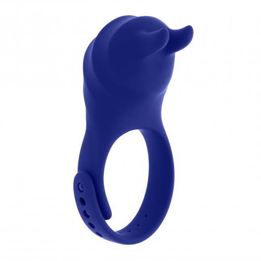 Синее эрекционное виброкольцо с клиторальной подушечкой и пультом ДУ Adjustable Fun Ring - Zero Tolerance - в Ижевске купить с доставкой