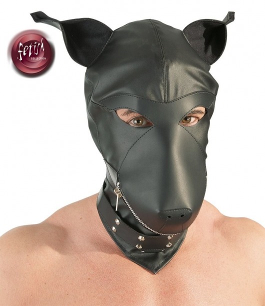 Шлем-маска Dog Mask в виде морды собаки - Orion - купить с доставкой в Ижевске