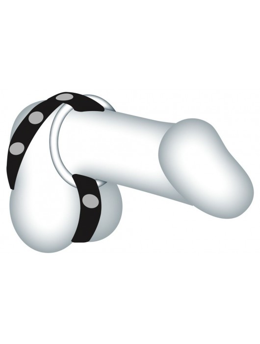 Подхват для мошонки с 3 съемными эрекционными кольцами Leder-Riemen - Orion - в Ижевске купить с доставкой