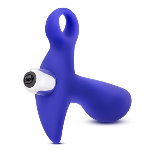 Синий стимулятор простаты с ручкой-кольцом Performance Prostimulator 02 - Blush Novelties - в Ижевске купить с доставкой