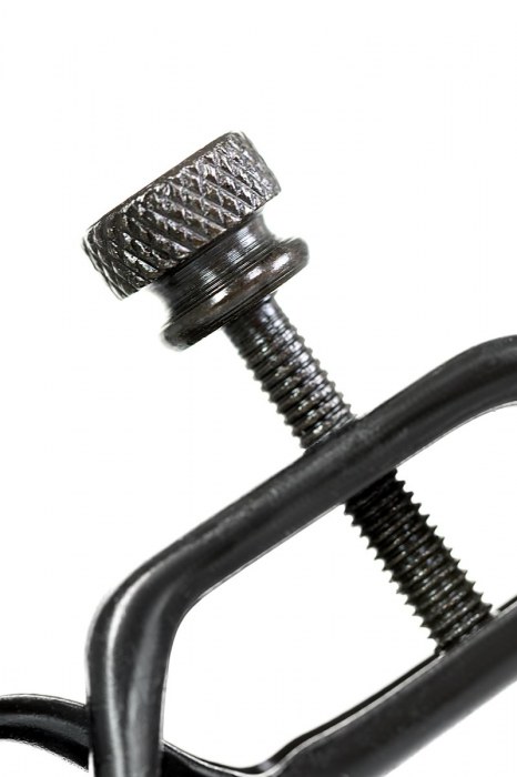 Черно-золотистые зажимы для сосков TOYFA Theatre - ToyFa - купить с доставкой в Ижевске