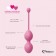 Набор из 3 розовых вагинальных шариков FemmeFit Advanced Pelvic Muscle Training Set - FeelzToys в Ижевске Набор из 3 розовых вагинальных шариков FemmeFit Advanced Pelvic Muscle Training Set - FeelzToys